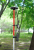Двухчастотный GNSS комплект ГеоМетр SCOUT GM RTK