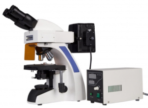 Микроскоп люминесцентный MICROmed Evolution LUM LS-8530