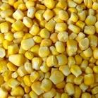 Стандартные образцы кукурузы
