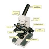 Микроскоп школьный MSK-01L