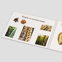 Журнал "Коллекция семян дикорастущих растений" Пример 4