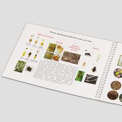 Журнал "Коллекция семян дикорастущих растений" Пример 3